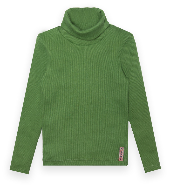 Водолазка дитяча для дівчинки GABBI SV-21-10-1 Стиль зелений на зріст 110 (13074-ж)