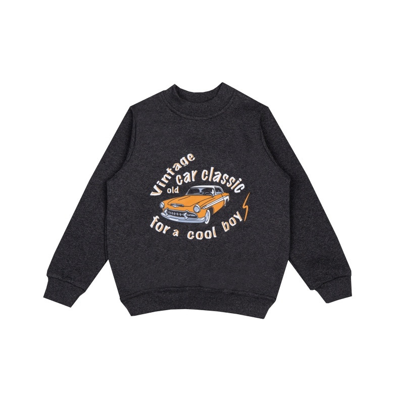 Джемпер для хлопчика Gabbi DG-24-10 Темно-сірий 134 (14204)