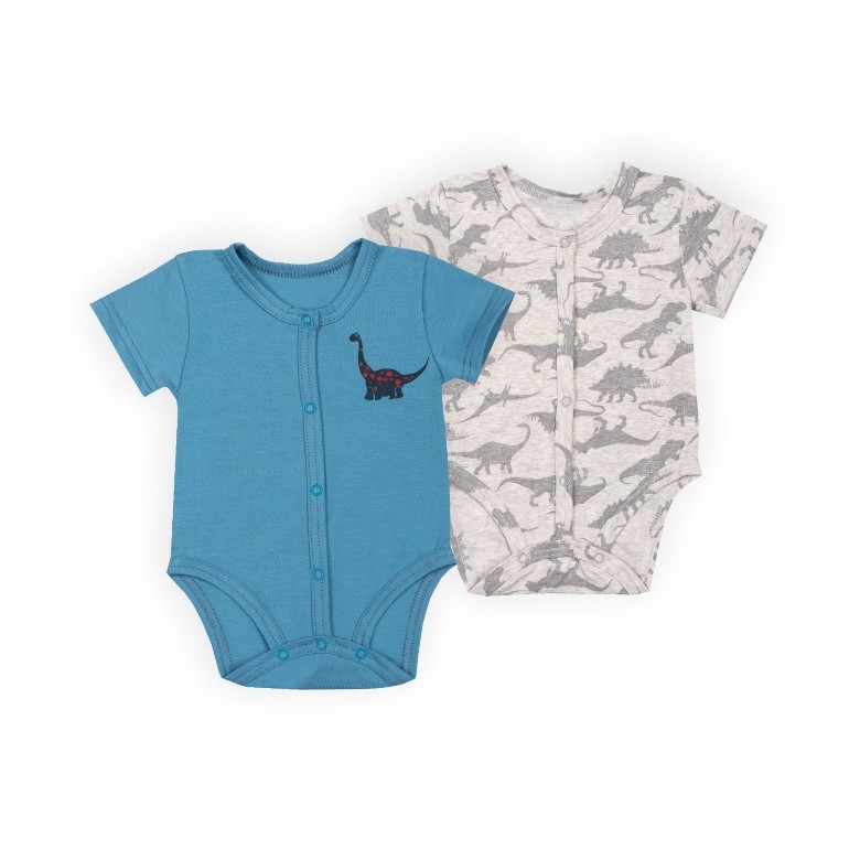 Комплект-боді для хлопчика Gabbi BD-24-10 2 шт Різнокольоровий 74 (13992)