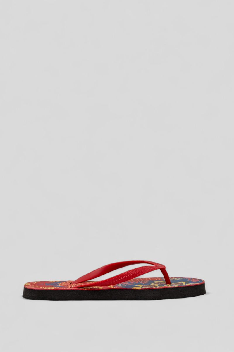 В'єтнамки жіночі AGER 36-37 Різнокольоровий (244R342)