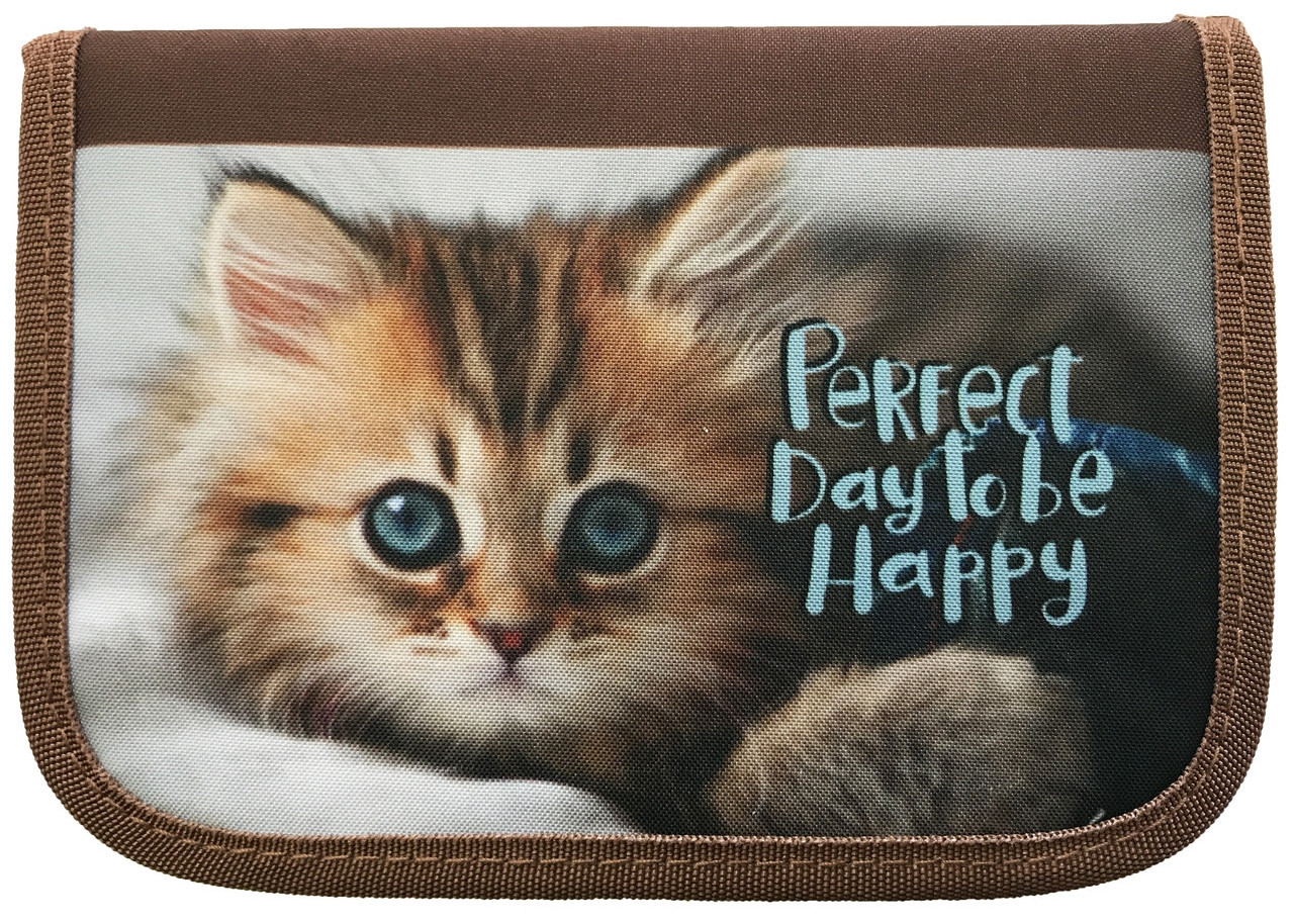 Пенал шкільний з наповненням та двома відворотами Smile Perfect Day Brown (5pv_930501п)