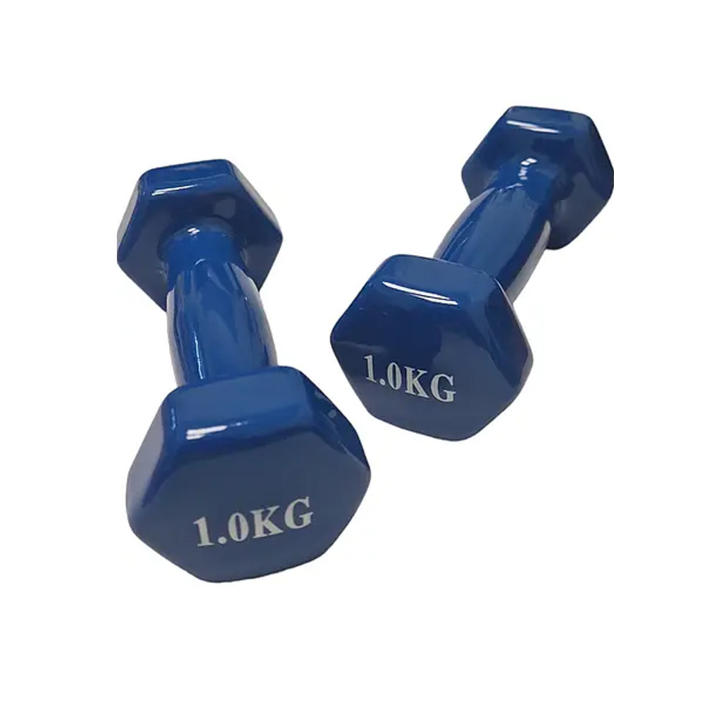 Гантель із вініловим покриттям Profi 1 кг 2 шт Синій (M-0289-V-1)