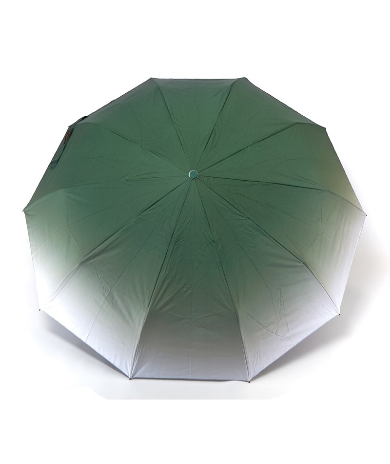 Парасолька жіноча автомат Bellissimo №M634 10 подвійних спиць Зелений