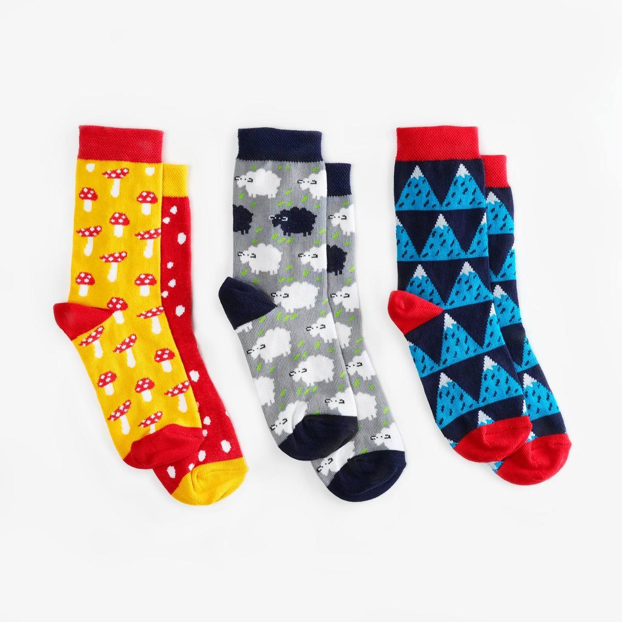 Дитячі шкарпетки Dodo Socks Yukon 2-3 роки набір 3 пари (009686)