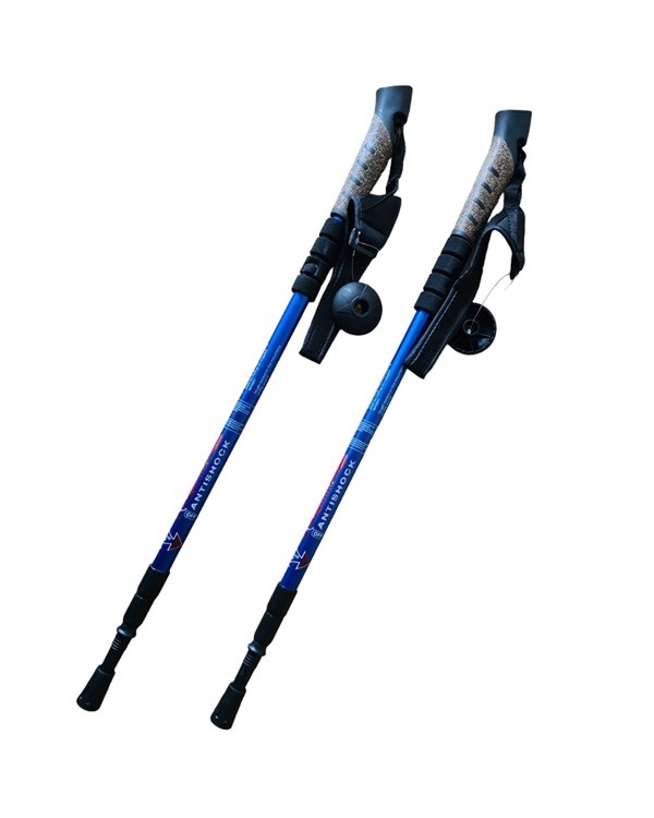 Палиці Antishock для скандинавської ходьби+трекінг телескопічна пара Blue