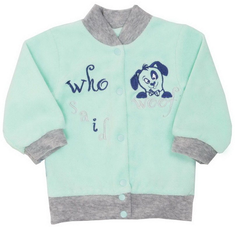 Кофта дитяча для хлопчика на кнопках GABBI Гав Ментоловий на зріст 74 (10988)