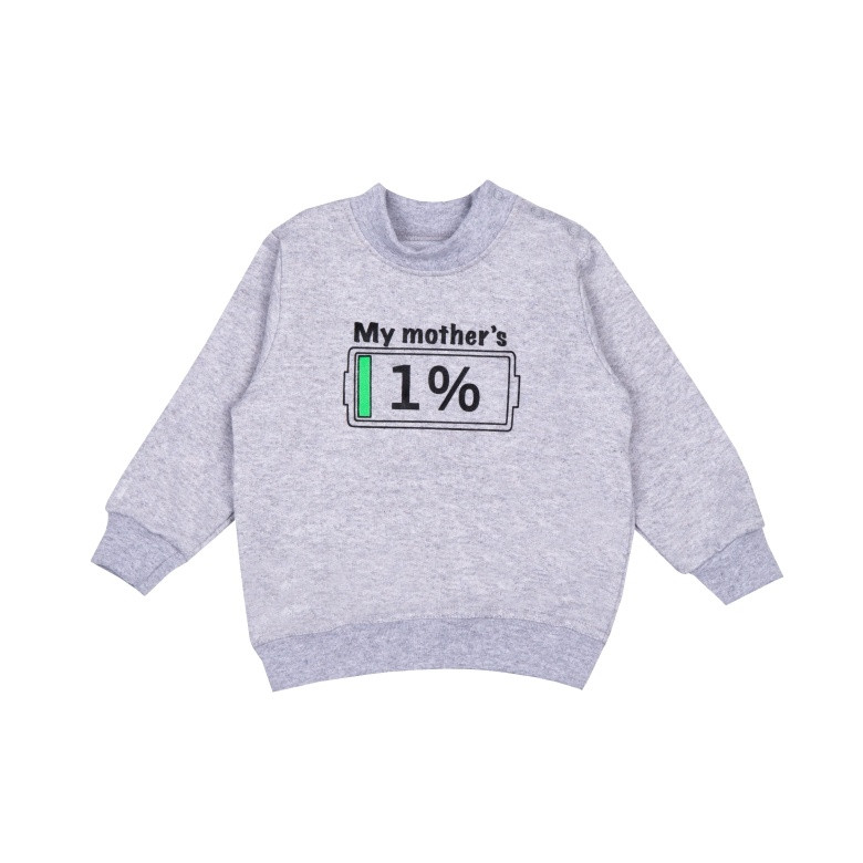 Джемпер для хлопчика Gabbi DG-24-8 Сірий 98 (14202)