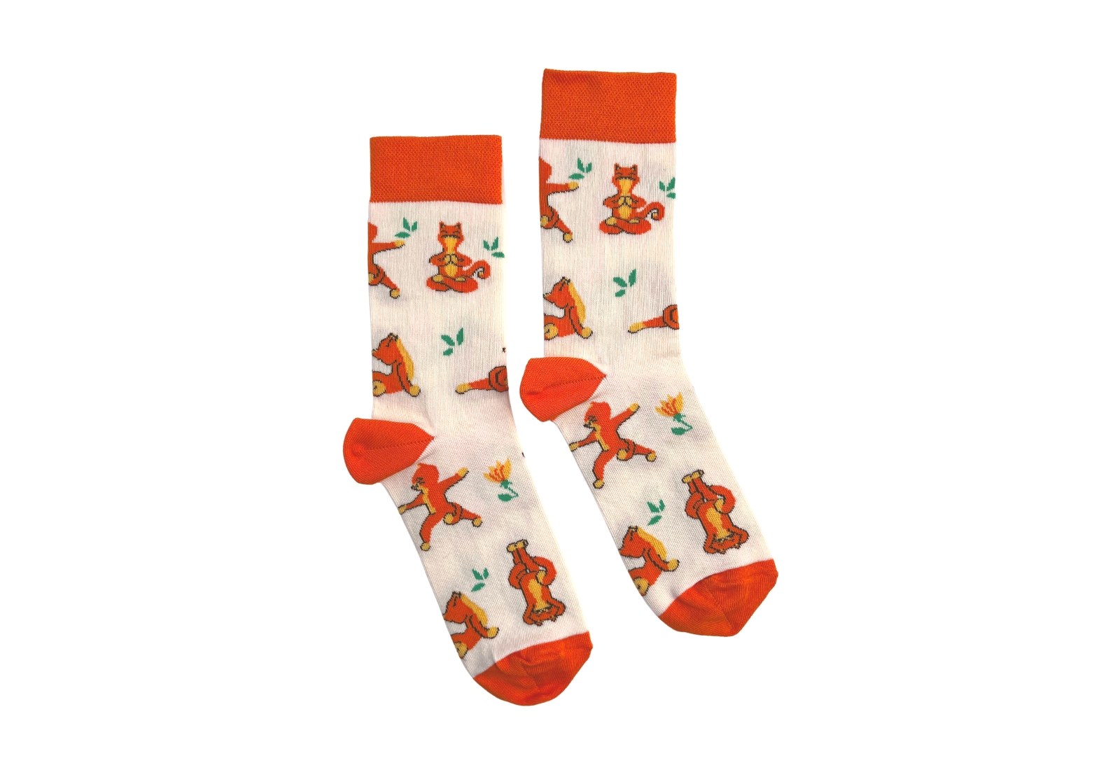 Шкарпетки RAO Йога Котики 36-38 бежеві