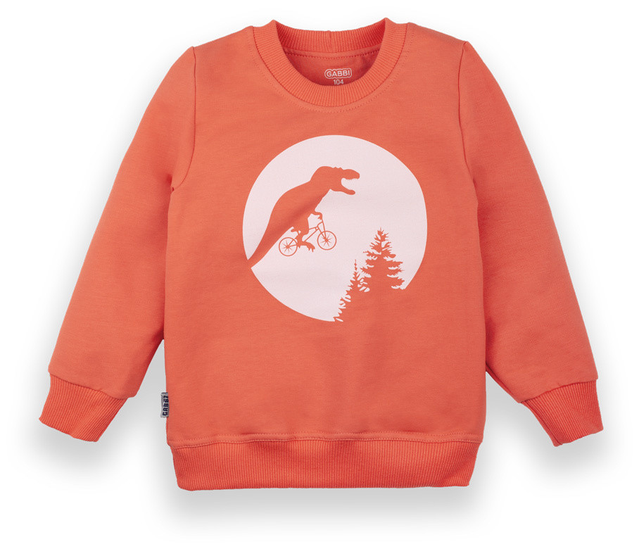Светр для хлопчика Gabbi DG-20-25-1 Ситисленг Кораловий 110 (12414)