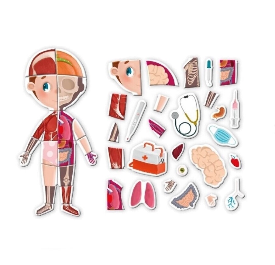 Дитяча розвиваюча гра DoDo Магнітне тіло 123 елементи 4 карти Різнокольоровий (114795)