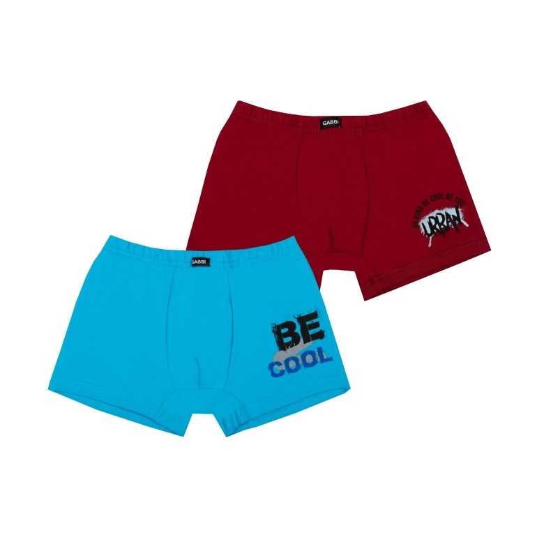 Труси-шорти Gabbi SHM-24-6/2 2 шт (38) 158 Блакитно-бордовий (14134)