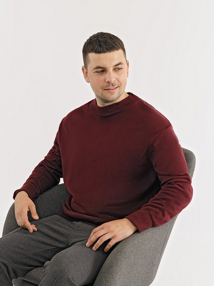 Гольф чоловічий Asrin 6XL Бордовий ЦБ-00227308 (SKT000926101)