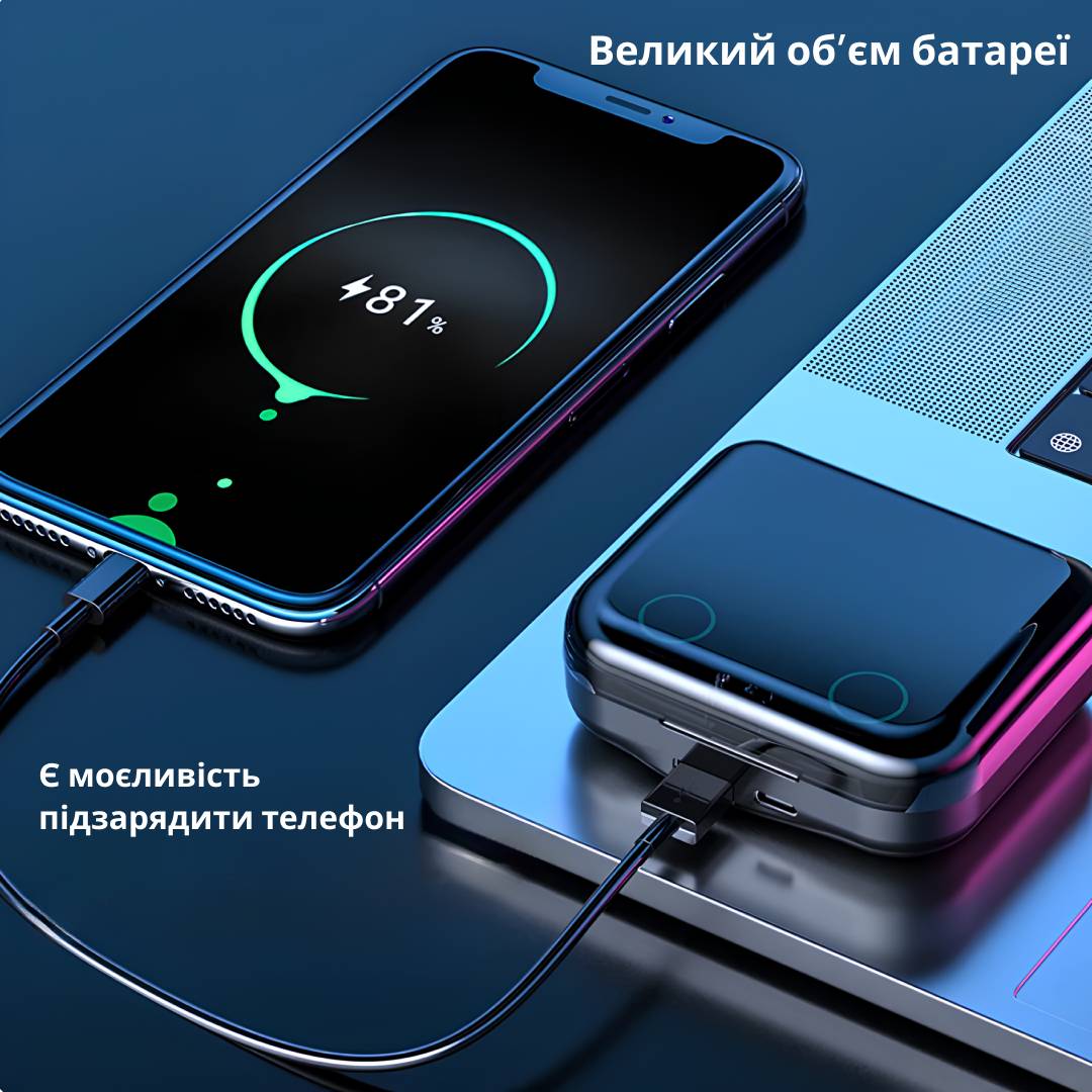 Мініатюра 3