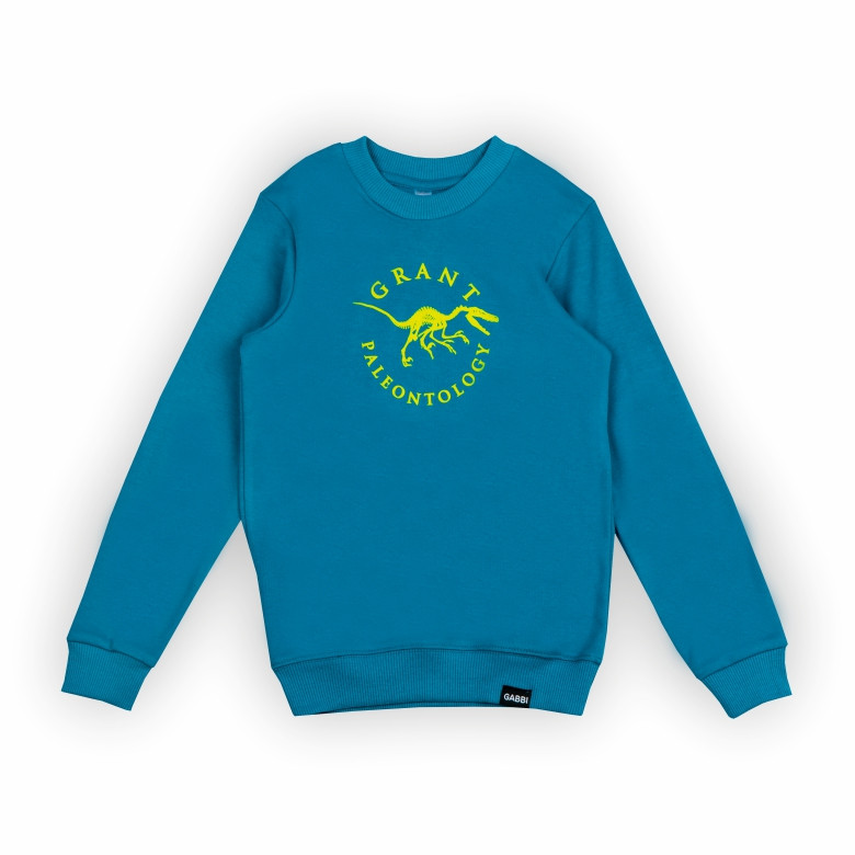 Светр для хлопчика Gabbi DG-24-4 Блакитний 134 (13912)