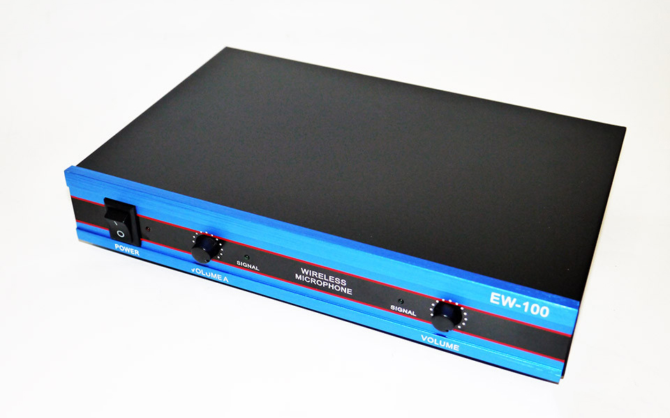 Радіосистема DM EW 100 база 2 радіомікрофона Чорний (3sm_523523448)