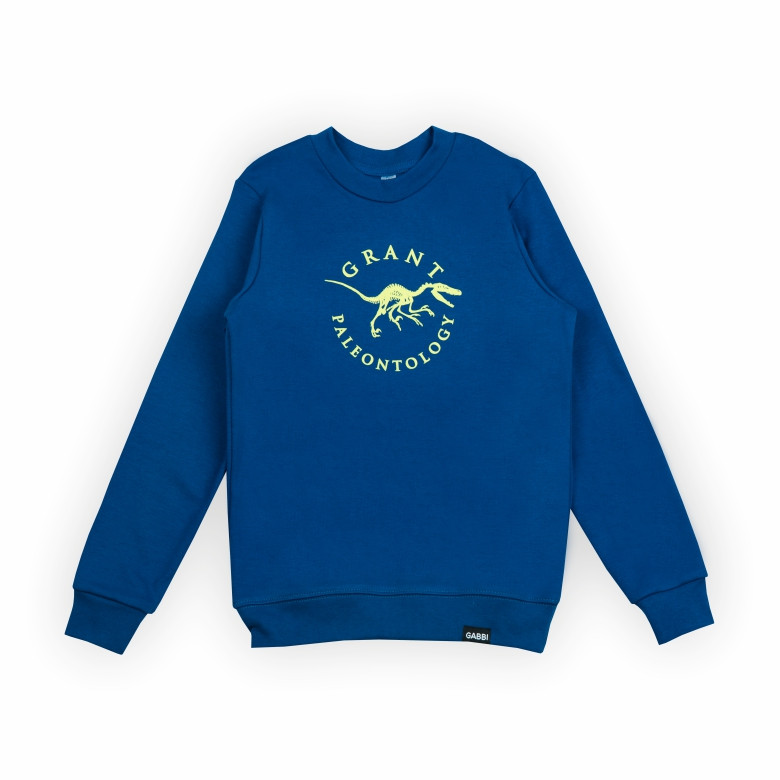 Светр для хлопчика Gabbi DG-24-4 Синій 128 (13912)