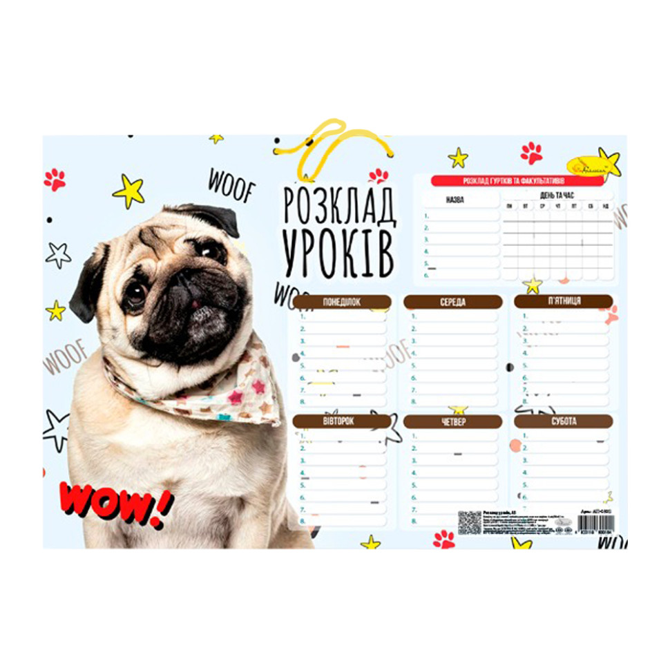 Ламінований розклад уроків Апельсин АП-0802 формат А3 Вид 4