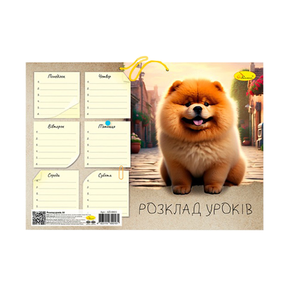 Ламінований розклад уроків Апельсин АП-0801 формат А4 Вид 3